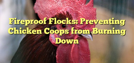 Fireproof Flocks: Preventing Chicken Coops from Burning Down 